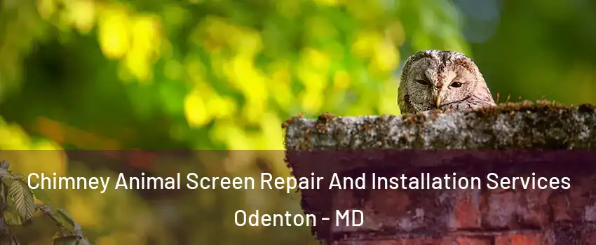  Chimney Animal Screen Repair And Installation Services Odenton - MD
