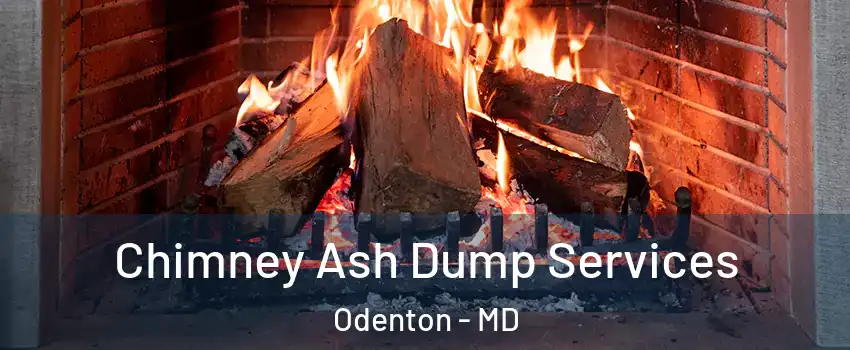  Chimney Ash Dump Services Odenton - MD