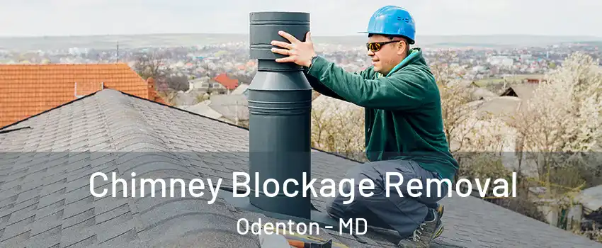  Chimney Blockage Removal Odenton - MD