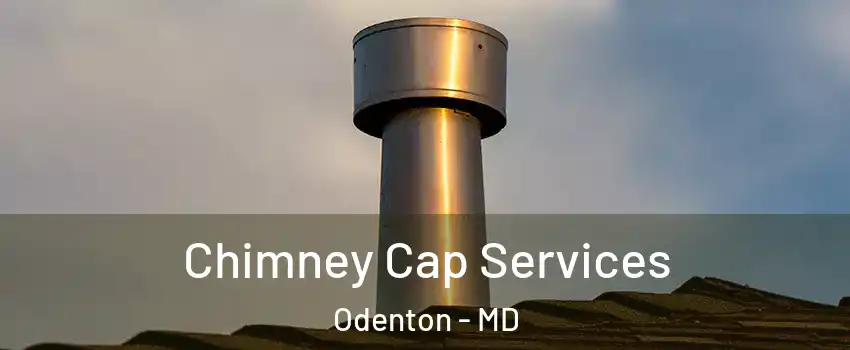  Chimney Cap Services Odenton - MD