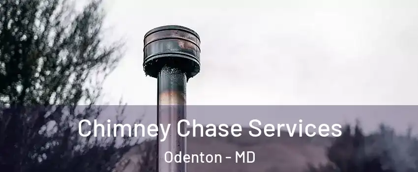  Chimney Chase Services Odenton - MD