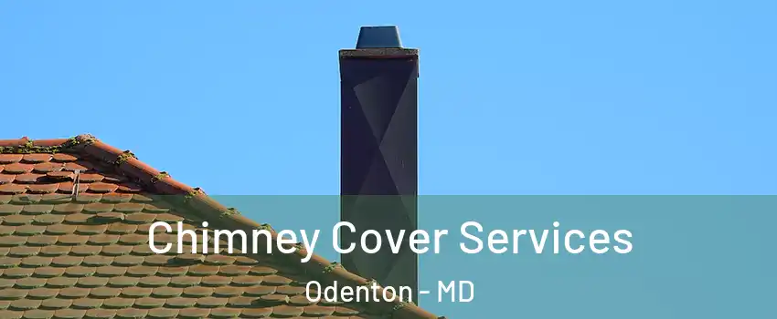  Chimney Cover Services Odenton - MD