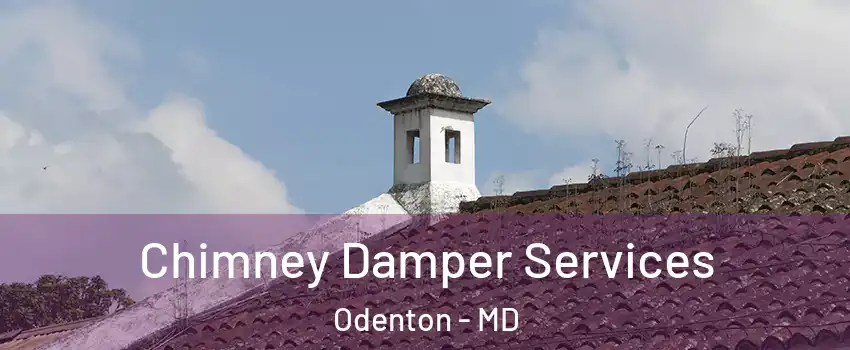 Chimney Damper Services Odenton - MD