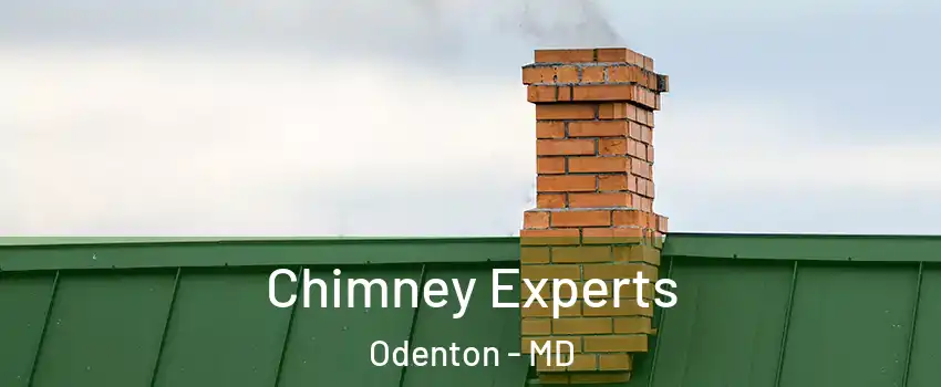 Chimney Experts Odenton - MD