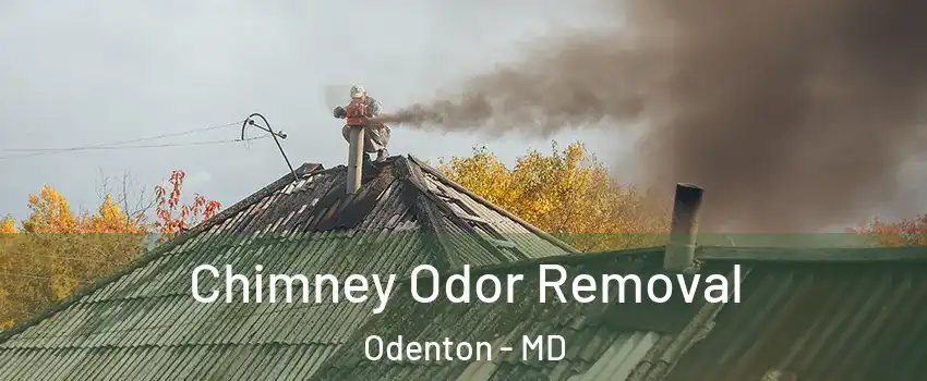  Chimney Odor Removal Odenton - MD