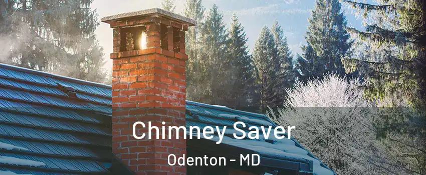  Chimney Saver Odenton - MD