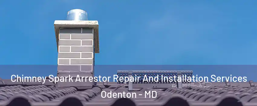  Chimney Spark Arrestor Repair And Installation Services Odenton - MD