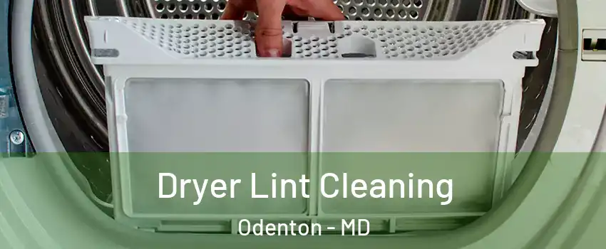  Dryer Lint Cleaning Odenton - MD