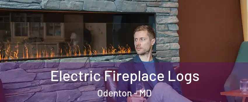  Electric Fireplace Logs Odenton - MD