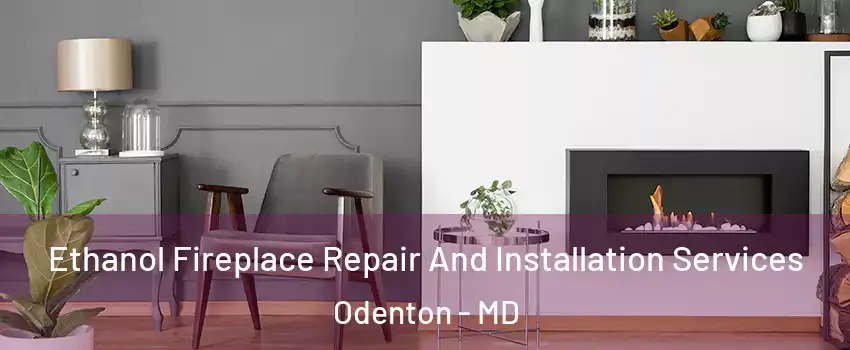  Ethanol Fireplace Repair And Installation Services Odenton - MD