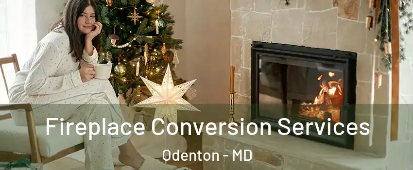  Fireplace Conversion Services Odenton - MD