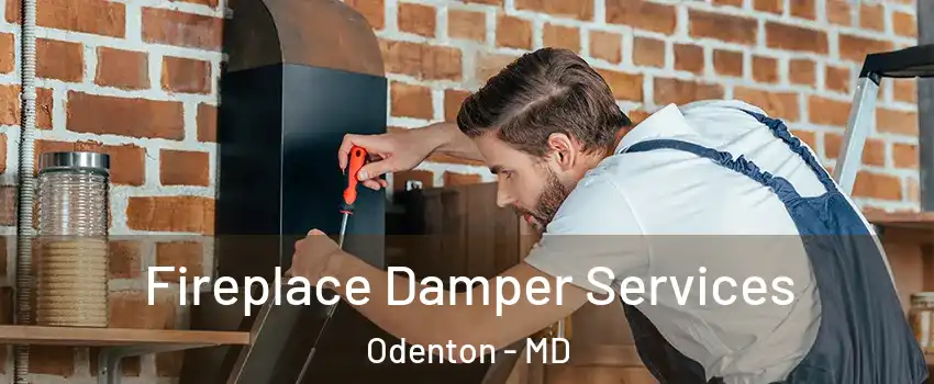  Fireplace Damper Services Odenton - MD
