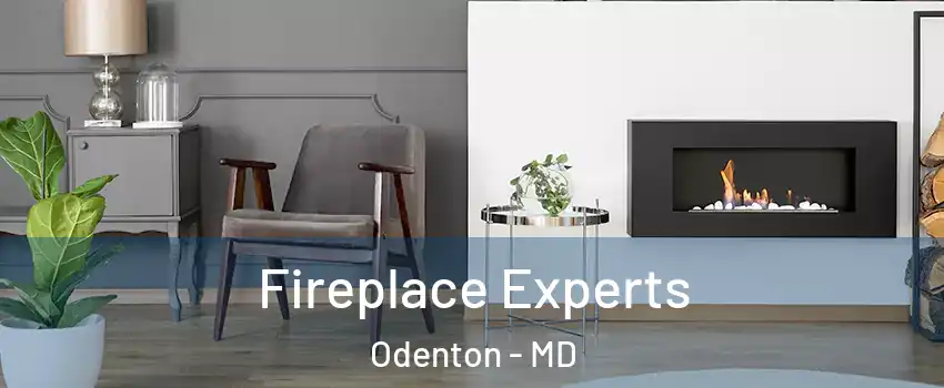  Fireplace Experts Odenton - MD