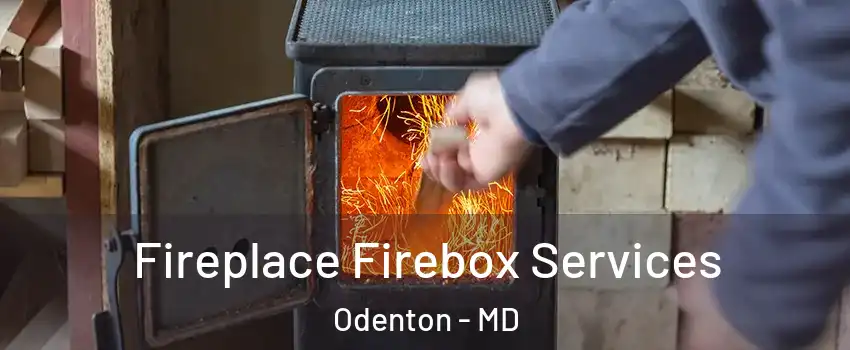  Fireplace Firebox Services Odenton - MD
