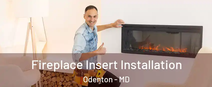  Fireplace Insert Installation Odenton - MD