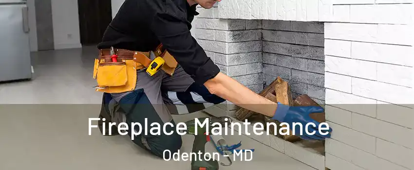  Fireplace Maintenance Odenton - MD