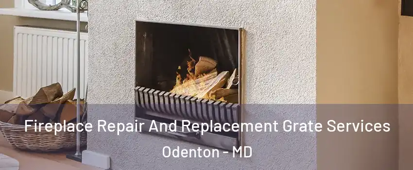  Fireplace Repair And Replacement Grate Services Odenton - MD