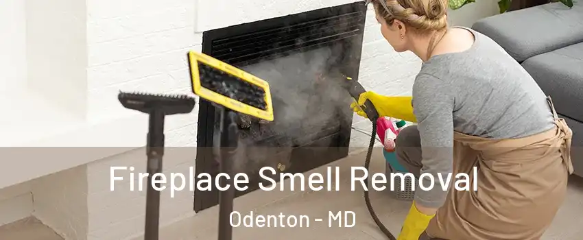  Fireplace Smell Removal Odenton - MD