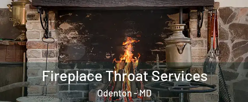  Fireplace Throat Services Odenton - MD