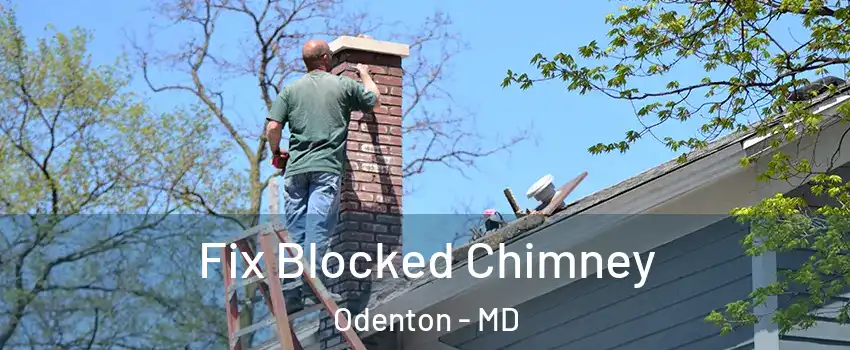  Fix Blocked Chimney Odenton - MD