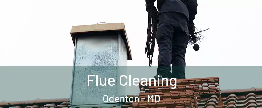  Flue Cleaning Odenton - MD