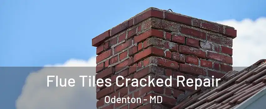  Flue Tiles Cracked Repair Odenton - MD