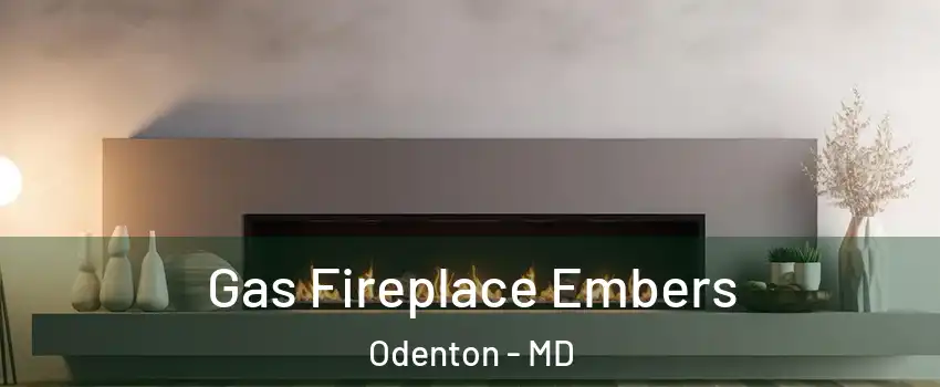  Gas Fireplace Embers Odenton - MD