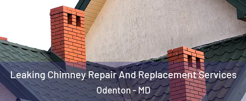  Leaking Chimney Repair And Replacement Services Odenton - MD