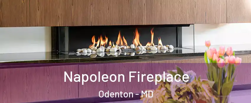  Napoleon Fireplace Odenton - MD