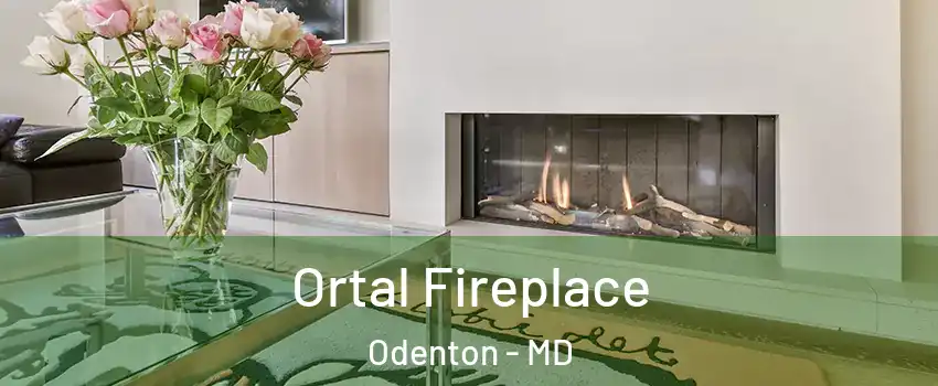 Ortal Fireplace Odenton - MD