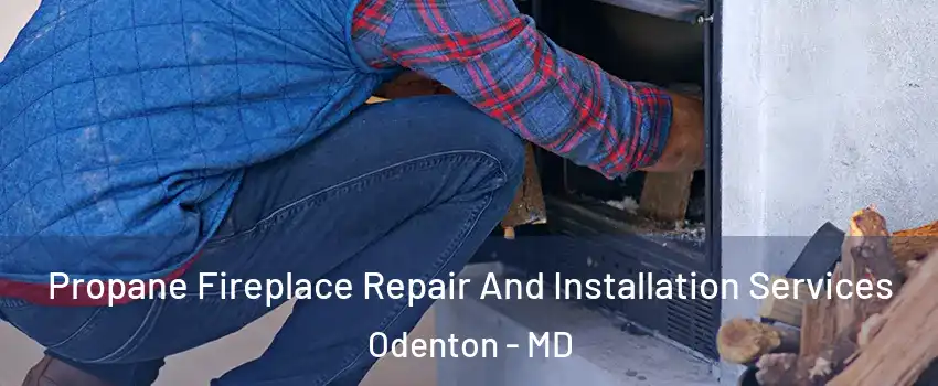  Propane Fireplace Repair And Installation Services Odenton - MD