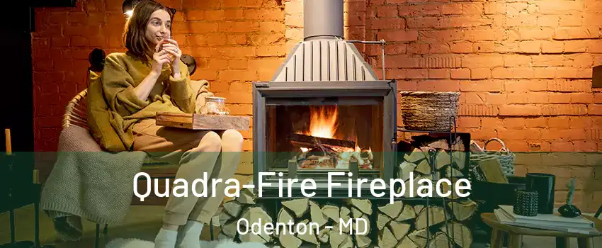  Quadra-Fire Fireplace Odenton - MD